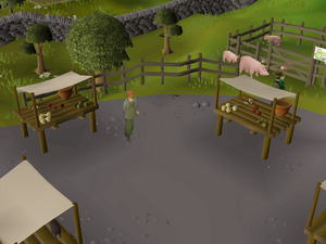 OSRS Old School Runescape Gold Farming Guide - bymobile.ru