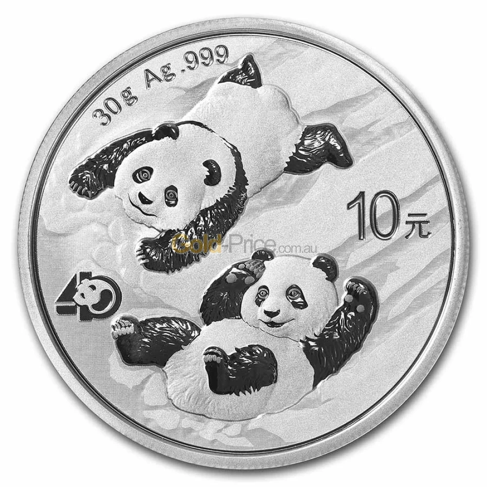 Buy 30g Silver Chinese Panda Coin