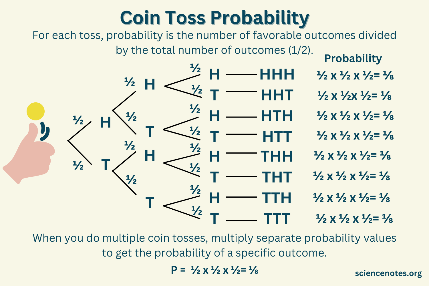 Coin flip probability – Explanation & Examples