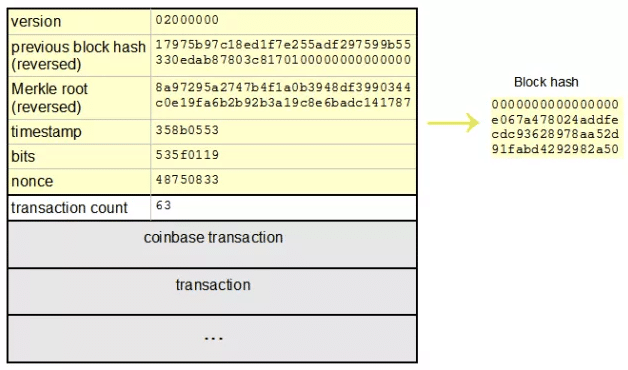 SHA Algorithm - PoolBay