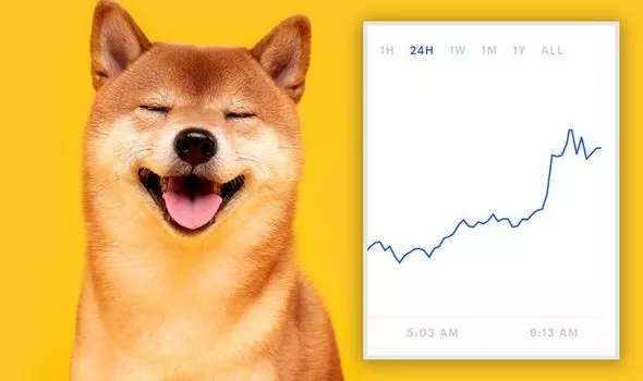 Dogecoin price - Live value & realtime DOGE/EUR price | BLOX