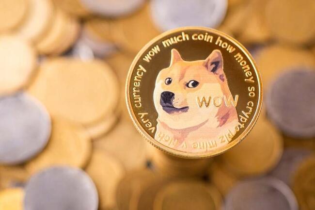 Dogecoin Price Today - DOGE Coin Price Chart & Crypto Market Cap