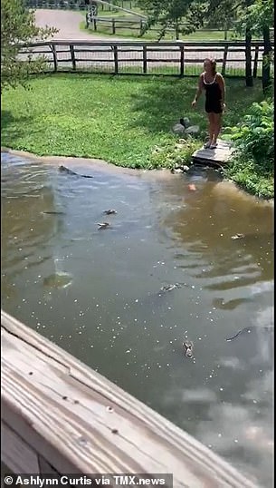 Woman and Child Climb Into Alligator Pit to Retrieve Wallet - Realtree Camo